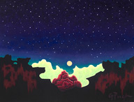 clear night